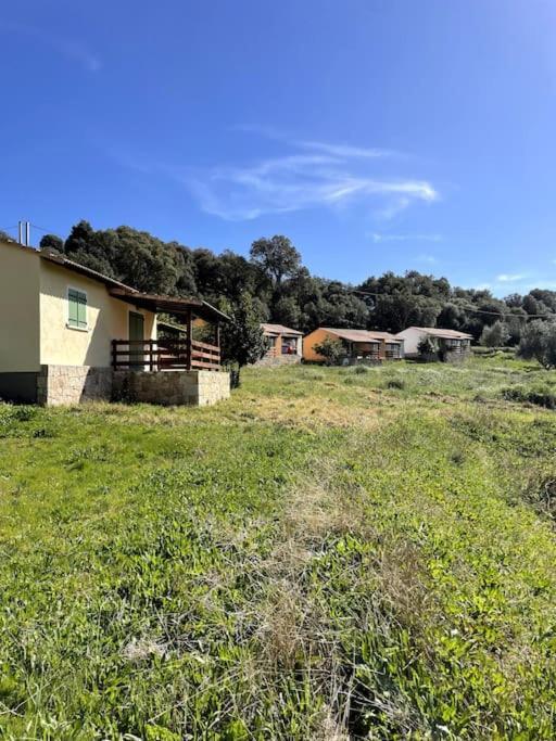 Maison Au Calme Avec Piscine Et Climatisation Sollacaro Exterior foto